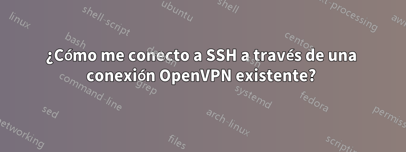 ¿Cómo me conecto a SSH a través de una conexión OpenVPN existente?