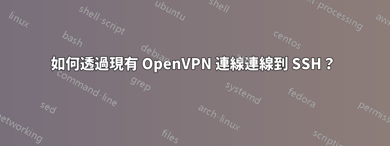 如何透過現有 OpenVPN 連線連線到 SSH？