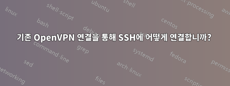 기존 OpenVPN 연결을 통해 SSH에 어떻게 연결합니까?