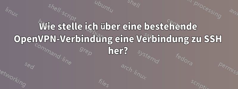 Wie stelle ich über eine bestehende OpenVPN-Verbindung eine Verbindung zu SSH her?