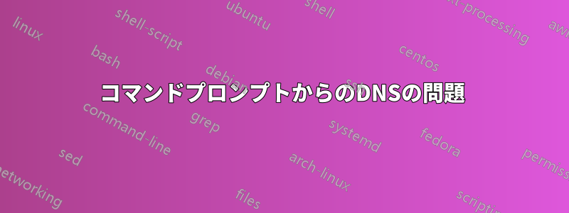 コマンドプロンプトからのDNSの問題