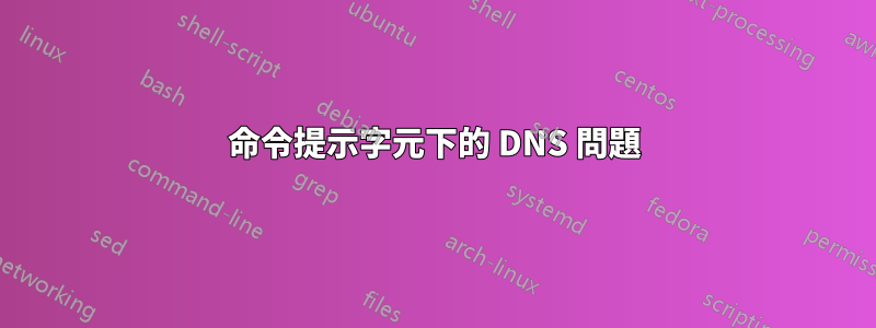 命令提示字元下的 DNS 問題