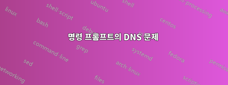 명령 프롬프트의 DNS 문제