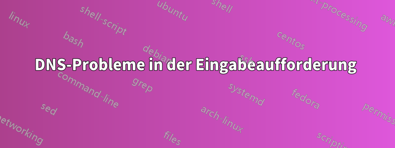 DNS-Probleme in der Eingabeaufforderung