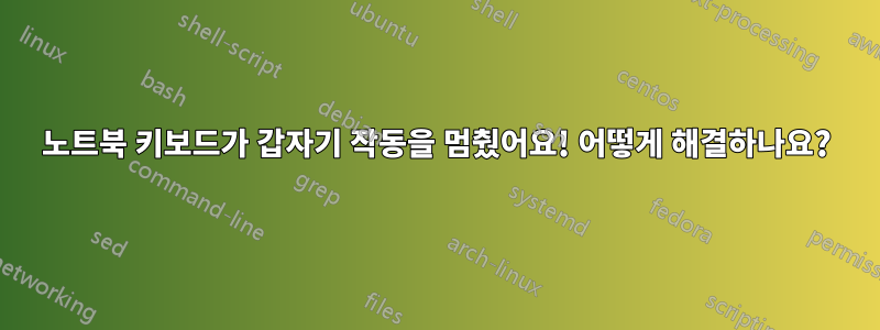 노트북 키보드가 갑자기 작동을 멈췄어요! 어떻게 해결하나요?