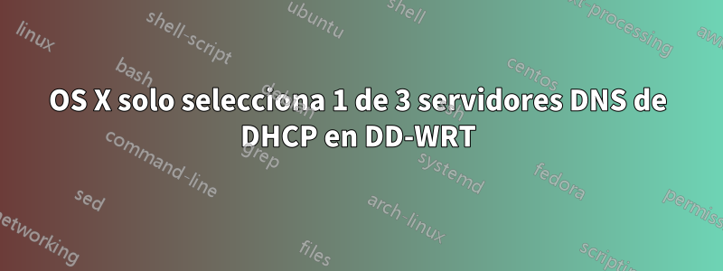 OS X solo selecciona 1 de 3 servidores DNS de DHCP en DD-WRT