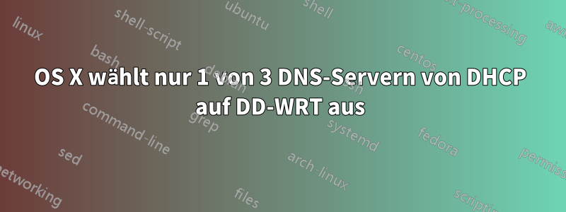 OS X wählt nur 1 von 3 DNS-Servern von DHCP auf DD-WRT aus