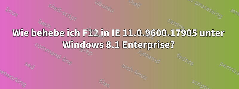 Wie behebe ich F12 in IE 11.0.9600.17905 unter Windows 8.1 Enterprise?