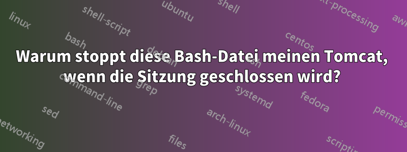 Warum stoppt diese Bash-Datei meinen Tomcat, wenn die Sitzung geschlossen wird?