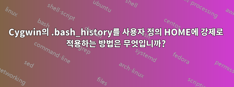 Cygwin의 .bash_history를 사용자 정의 HOME에 강제로 적용하는 방법은 무엇입니까?