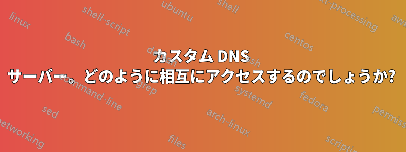 カスタム DNS サーバー。どのように相互にアクセスするのでしょうか?