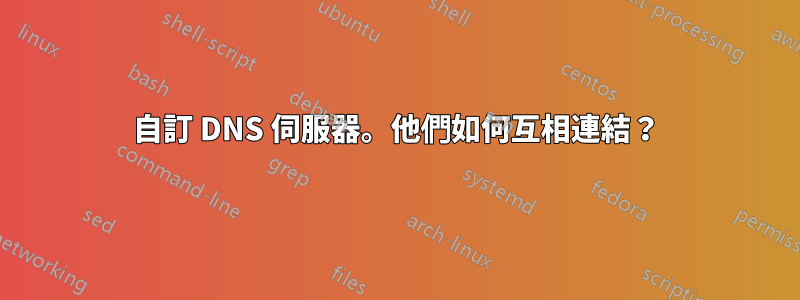 自訂 DNS 伺服器。他們如何互相連結？