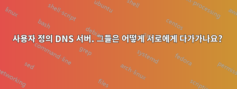 사용자 정의 DNS 서버. 그들은 어떻게 서로에게 다가가나요?