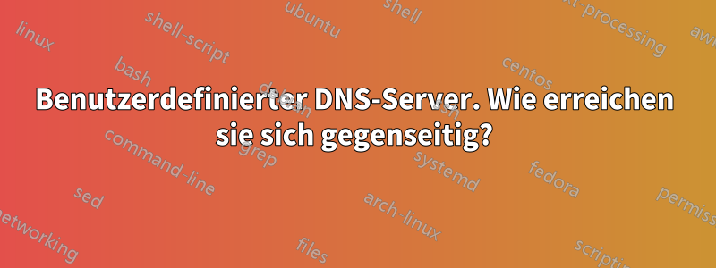 Benutzerdefinierter DNS-Server. Wie erreichen sie sich gegenseitig?