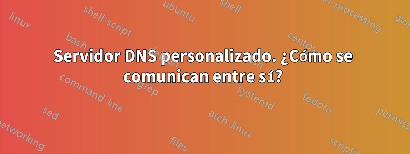 Servidor DNS personalizado. ¿Cómo se comunican entre sí?