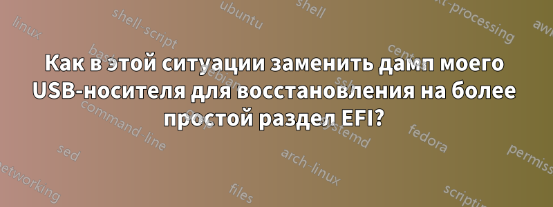 Как в этой ситуации заменить дамп моего USB-носителя для восстановления на более простой раздел EFI?