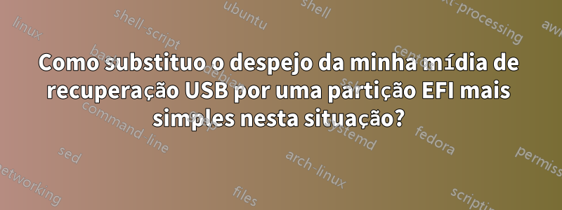 Como substituo o despejo da minha mídia de recuperação USB por uma partição EFI mais simples nesta situação?