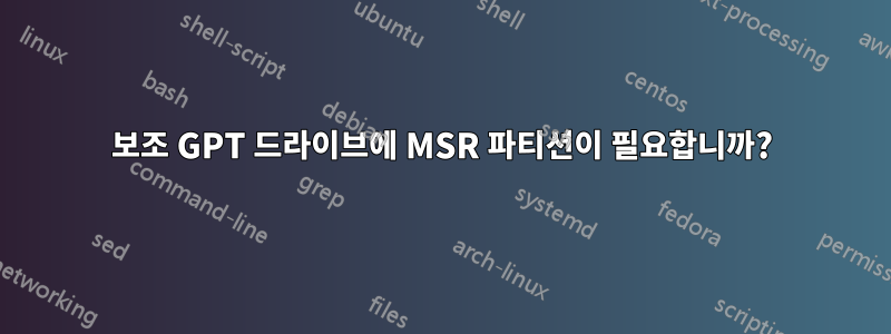 보조 GPT 드라이브에 MSR 파티션이 필요합니까?