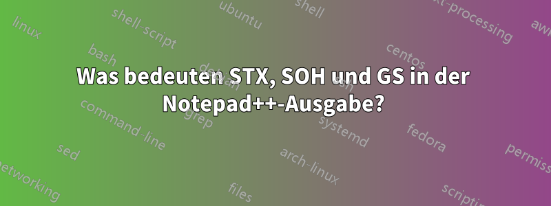 Was bedeuten STX, SOH und GS in der Notepad++-Ausgabe?