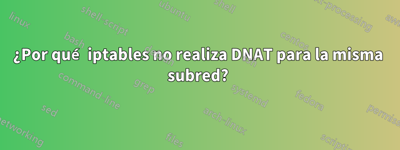 ¿Por qué iptables no realiza DNAT para la misma subred?