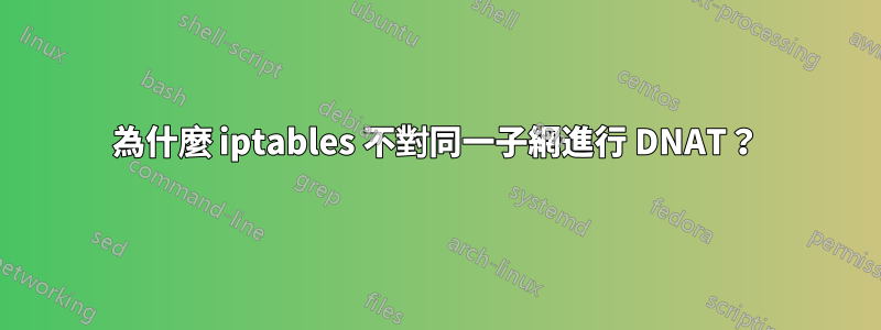 為什麼 iptables 不對同一子網進行 DNAT？