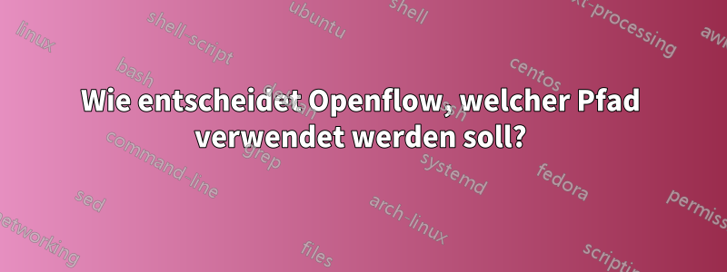 Wie entscheidet Openflow, welcher Pfad verwendet werden soll?