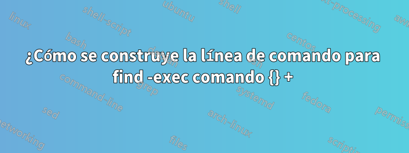 ¿Cómo se construye la línea de comando para find -exec comando {} +