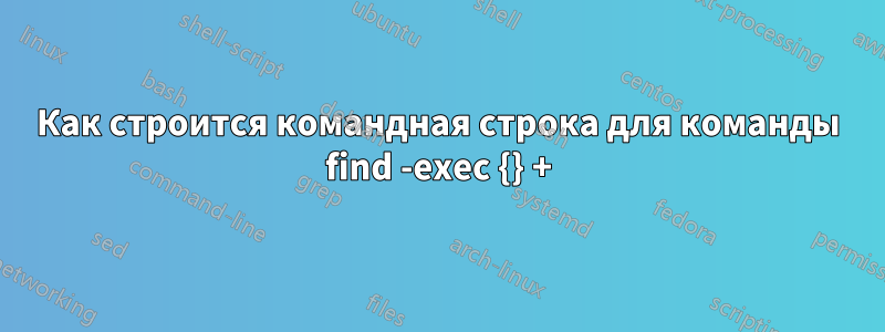 Как строится командная строка для команды find -exec {} +