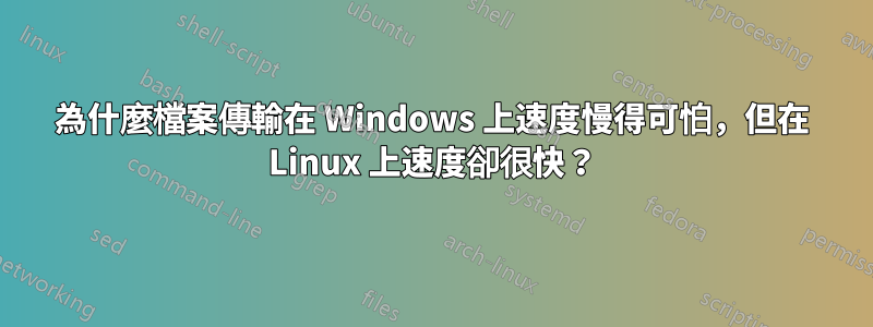 為什麼檔案傳輸在 Windows 上速度慢得可怕，但在 Linux 上速度卻很快？