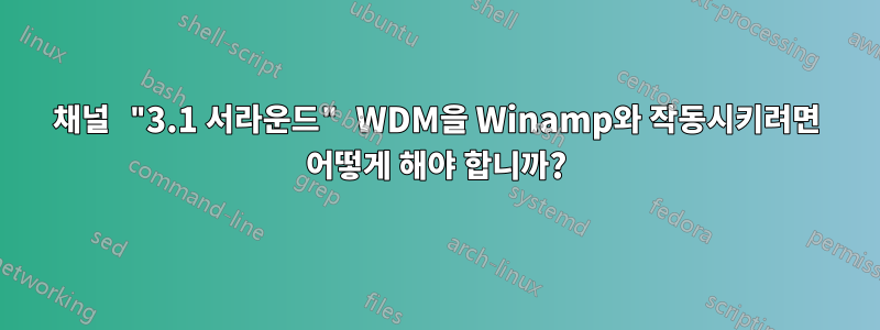 4채널 "3.1 서라운드" WDM을 Winamp와 작동시키려면 어떻게 해야 합니까?