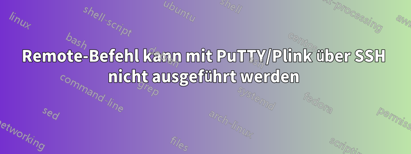 Remote-Befehl kann mit PuTTY/Plink über SSH nicht ausgeführt werden