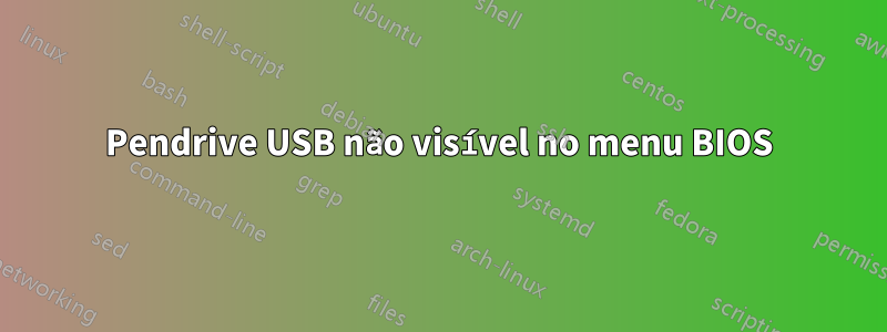 Pendrive USB não visível no menu BIOS