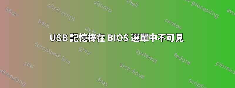 USB 記憶棒在 BIOS 選單中不可見