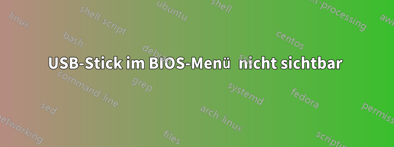 USB-Stick im BIOS-Menü nicht sichtbar