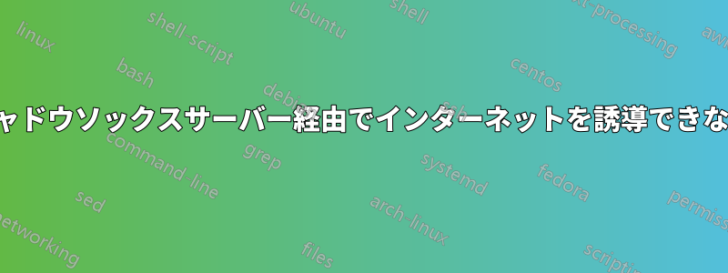 シャドウソックスサーバー経由でインターネットを誘導できない