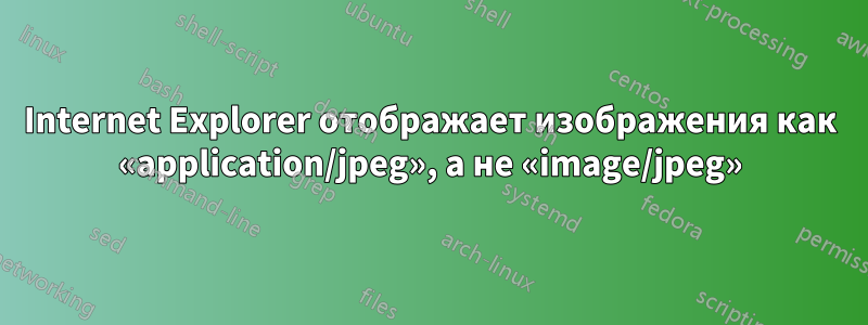 Internet Explorer отображает изображения как «application/jpeg», а не «image/jpeg»