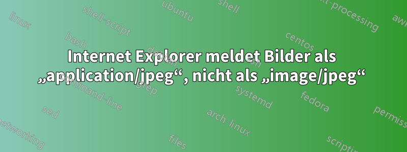 Internet Explorer meldet Bilder als „application/jpeg“, nicht als „image/jpeg“