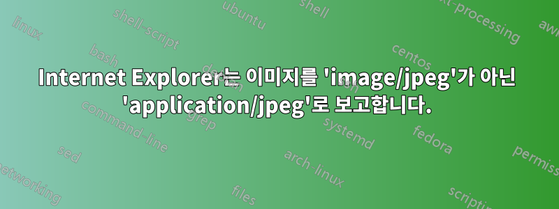 Internet Explorer는 이미지를 'image/jpeg'가 아닌 'application/jpeg'로 보고합니다.