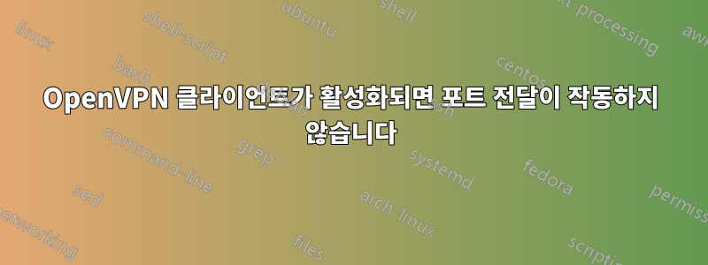 OpenVPN 클라이언트가 활성화되면 포트 전달이 작동하지 않습니다