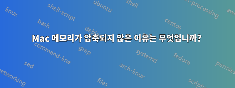 Mac 메모리가 압축되지 않은 이유는 무엇입니까?