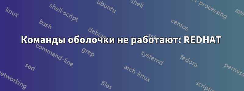 Команды оболочки не работают: REDHAT