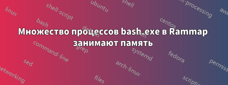 Множество процессов bash.exe в Rammap занимают память