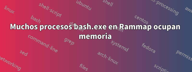 Muchos procesos bash.exe en Rammap ocupan memoria