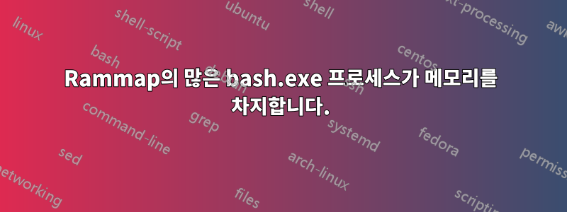 Rammap의 많은 bash.exe 프로세스가 메모리를 차지합니다.