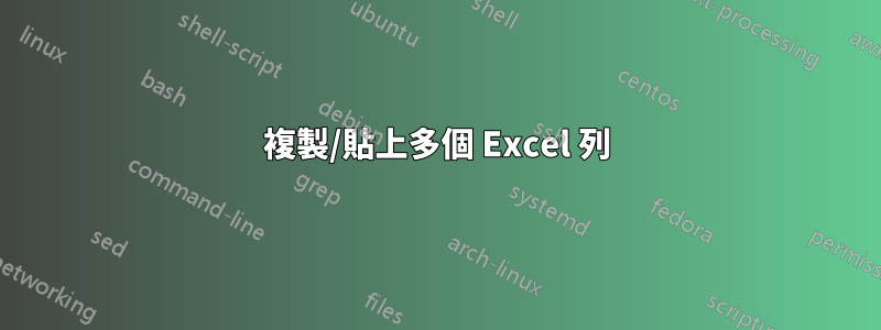 複製/貼上多個 Excel 列