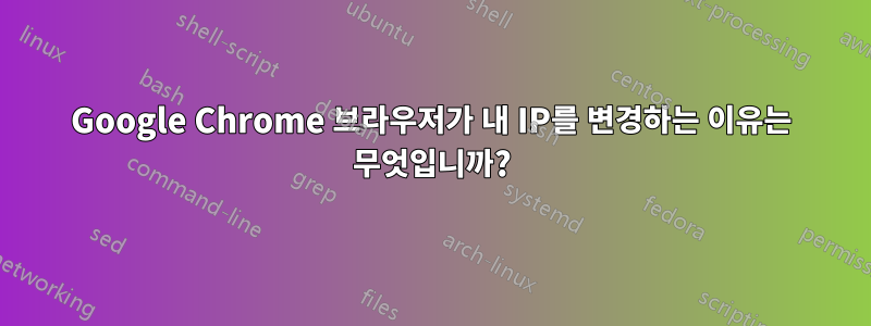 Google Chrome 브라우저가 내 IP를 변경하는 이유는 무엇입니까?