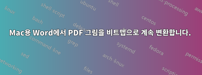 Mac용 Word에서 PDF 그림을 비트맵으로 계속 변환합니다.