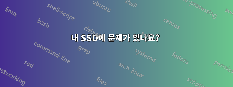 내 SSD에 문제가 있나요?