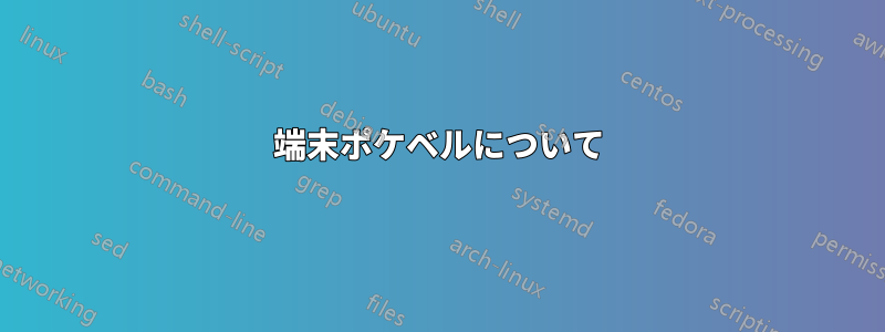 端末ポケベルについて
