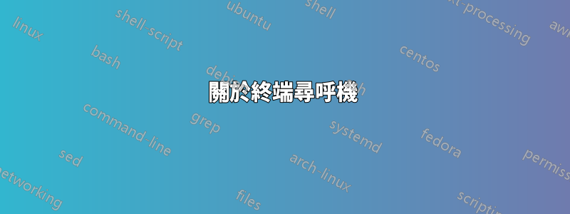 關於終端尋呼機